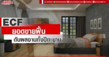 ECF ยอดขายฟื้น ดันผลงานทั้งปีทะยาน