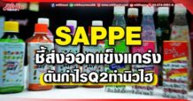 SAPPE ชี้ส่งออกแข็งแกร่ง ดันกำไรQ2ทำนิวไฮ