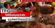 TFG ไฮซีซั่นหนุน Q3เด่น กูรูอัพกำไรแรง 7.5 เท่า