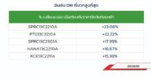 TOP GAINER DW 13