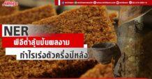 NER พีอีต่ำลุ้นปันผลงาม กำไรเร่งตัวครึ่งปีหลัง