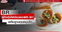 BR ผู้ถือหุ้นไฟเขียวแจก BR-W1 เสริมฐานทุนหนุนโต