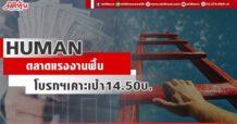 HUMAN ตลาดแรงงานฟื้น โบรกฯเคาะเป้า14.50บ.