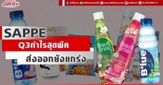 SAPPE Q3กำไรสุดพีค ส่งออกยังแกร่ง