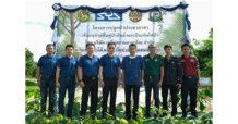 SYS เหล็กไทย หัวใจกรีน เดินหน้าอนุรักษ์ฟื้นฟูป่าต้นน้ำ ป้องกันไฟป่า – ภัยธรรมชาติอย่างยั่งยืน
