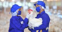 CPF ได้รับรอง LR Farm F1rst ตอกย้ำการผลิตไก่เนื้อคำนึงถึงหลักสวัสดิภาพสัตว์ สร้างความมั่นคงทางอาหาร