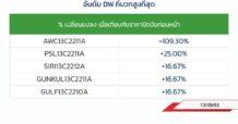 TOP GAINER DW13