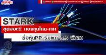 STARK สุดฮอต!! กองทุนไทย-เทศ ซื้อหุ้น PP รวม 1.5 พันล้านหุ้น ระดมทุนก้อนโต 5.5 พันลบ.