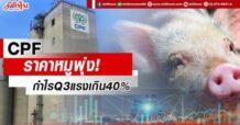 CPF ราคาหมูพุ่ง! กำไรQ3แรงเกิน40%