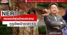 NER ออเดอร์พุ่งดันงบทะยาน กูรูอัพเป้าราคา10.30 บ.
