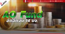 AO Fund อัดฉีดงบ 14 บจ.