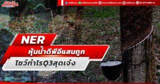 NER หุ้นน้ำดีพีอีแสนถูก โชว์กำไรQ3สุดเจ๋ง