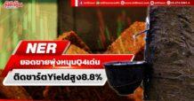 NER ยอดขายพุ่งหนุนQ4เด่น ติดชาร์ตYieldสูง8.8%