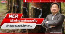NER โค้งท้ายงบติดเทอร์โบ ย้ำชัดออเดอร์ล้นหลาม