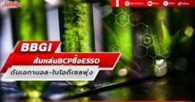 BBGI ส้มหล่น BCP ซื้อ ESSO ดันเอทานอล-ไบโอดีเซลพุ่ง