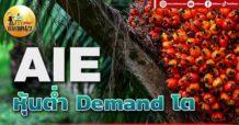 เด็กแนว (เช้า) AIE : หุ้นต่ำ Demand โต