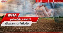 WHA ลุยโอนที่ดิน1,800ไร่ ดันผลงานทำนิวไฮ